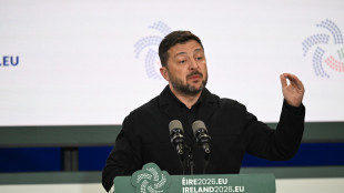 Zelensky, 'ad Ankara i nostri partner prendano decisioni forti'
