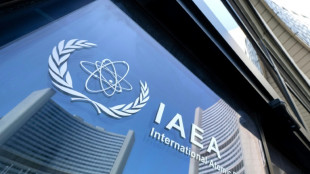 Teheran: Ausl&ouml;sung des Mechanismus f&uuml;r Sanktionen k&ouml;nnte Irans Zusammenarbeit mit IAEA beenden