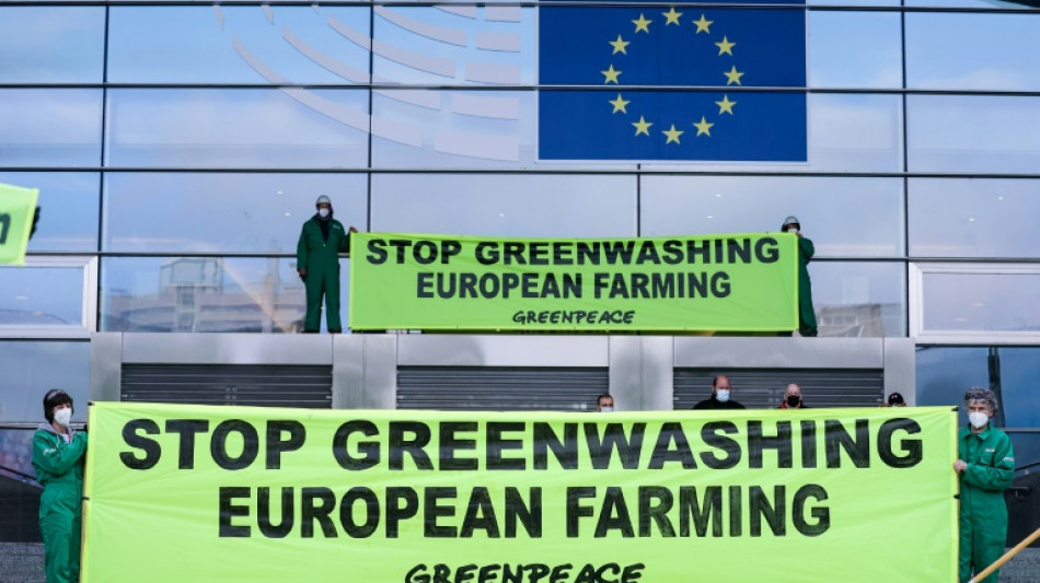 Vermeintliche Klimaneutralität: EU-Einigung auf Verbot von Greenwashing