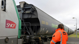 SNCF: Sud-Rail d&eacute;pose un pr&eacute;avis de gr&egrave;ve du 17 avril au 2 juin