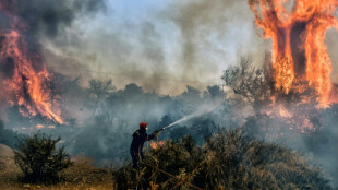 Hunderte Feuerwehrleute kämpfen weiter gegen Waldbrände in Griechenland
