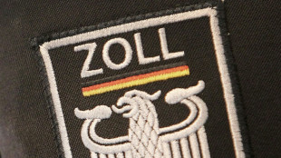 Z&ouml;llner entdecken Elefantenfu&szlig; in Postsendung