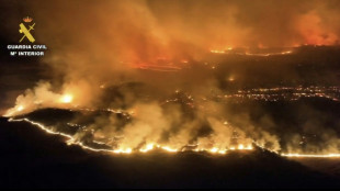 Espagne: 13.000 hectares br&ucirc;l&eacute;s dans un incendie &agrave; 100 km au nord de Madrid