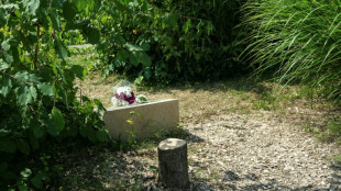 Gedenkbaum für ermordeten Juden in Frankreich abgesägt