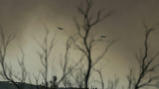 L'incendie de Martigues toujours pas ma&icirc;tris&eacute;, pr&egrave;s de 1.000 pompiers pour le combattre