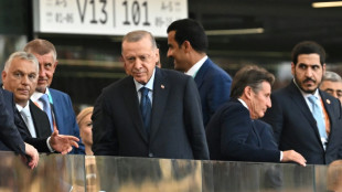 Turkey's leader Erdogan in Hungary for NATO, energy talks