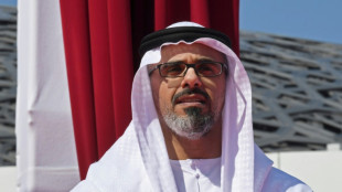 Präsident der Vereinigten Arabischen Emirate ernennt Sohn zum Kronprinzen
