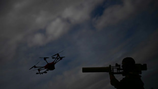 Geheimdienst: Aus Russland kommende Drohne trifft Kraftwerk in Estland 