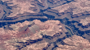Evacúan parte del Gran Cañón por propagación de incendio forestal