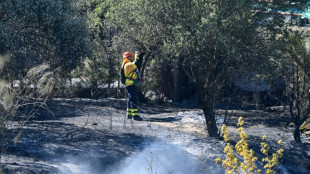 Sigue vivo el incendio del sur de España que obligó a evacuar a miles de turistas y bañistas