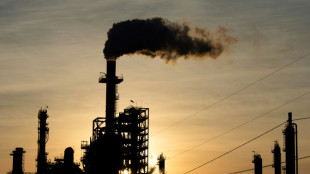 Umweltbundesamt skeptisch bei CO2-Speicherung - Testlauf empfohlen