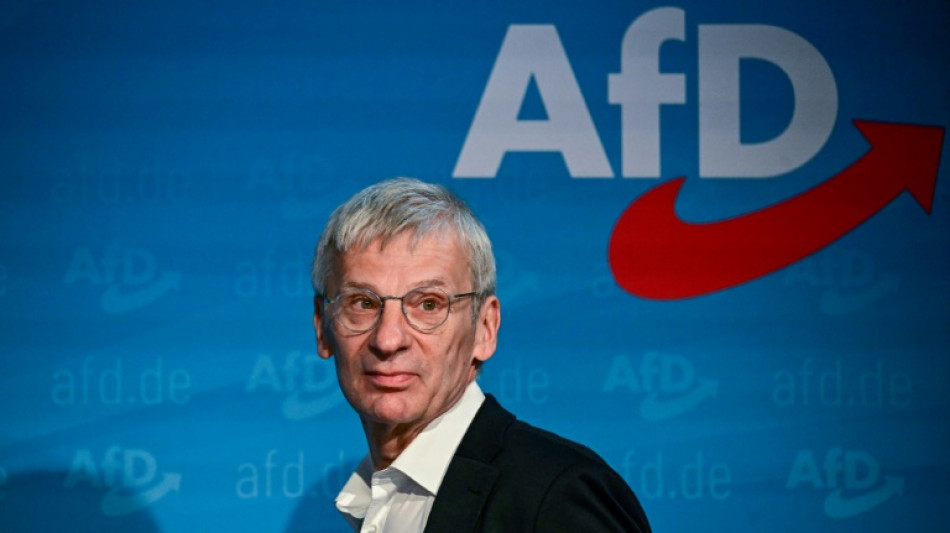 AfD erreicht laut Umfrage H&ouml;chststand in Brandenburg