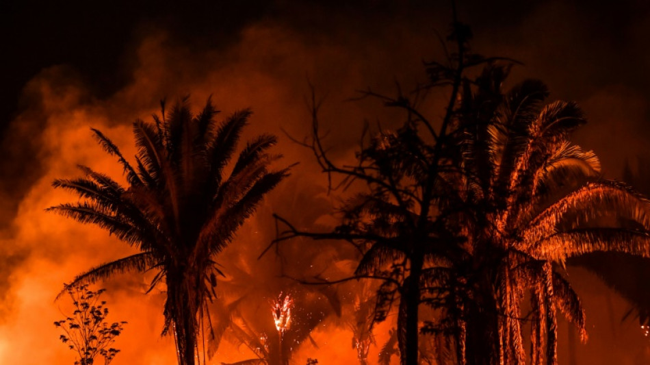 Höchste Zahl an Waldbränden im Amazonas-Gebiet binnen 24 Stunden seit fast 15 Jahren