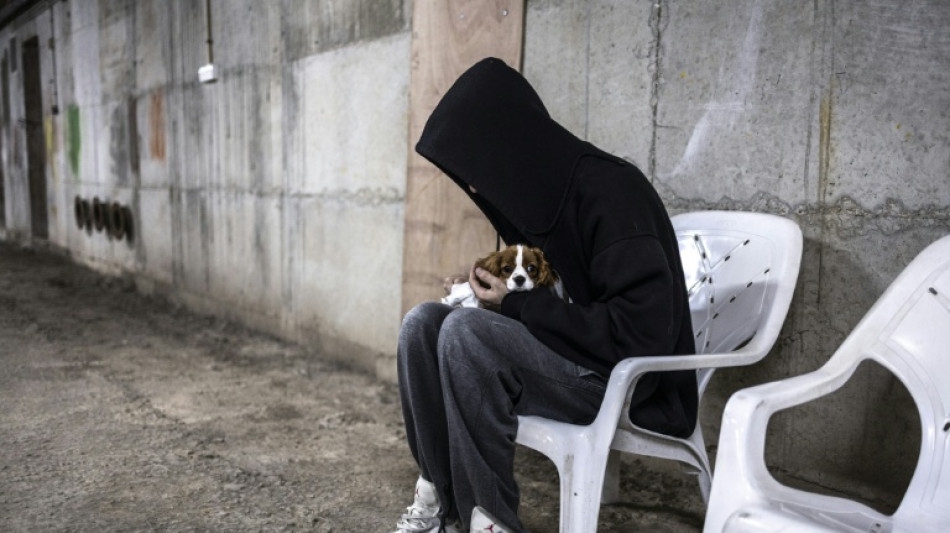  Israelis shelter with pets from threat of Iran missiles 