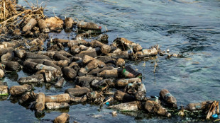 Studie: Plastikverschmutzung in Flüssen birgt auch Gesundheitsgefahren