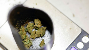 Bundestag stimmt über Teillegalisierung von Cannabis ab