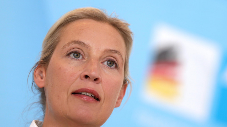 I Servizi tedeschi congelano la classificazione di Afd