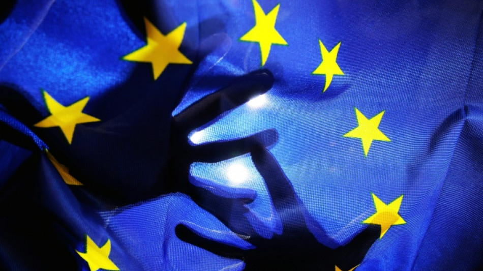  Lobbycontrol: Wirtschaft gibt Rekordsumme f&uuml;r Einflussnahme auf EU-Institutionen aus 