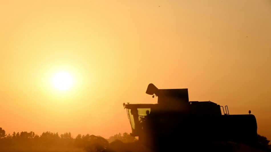 Agriculture: la loi Duplomb-Menonville entrevoit le bout du tunnel parlementaire, sans éteindre la controverse