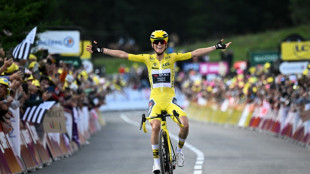 Cyclisme: Le coup de ma&icirc;tre de Ferrand-Pr&eacute;vot