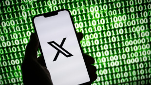 Accusations d'ing&eacute;rence &eacute;trang&egrave;re en France: vis&eacute; par une enqu&ecirc;te, le r&eacute;seau X d&eacute;nonce un "agenda politique" 