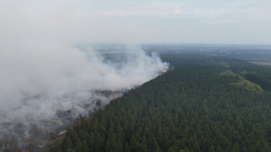  Waldbrand im belgischen Hohen Venn: Feuer breitet sich vor deutscher Grenze aus 