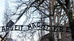 Survivors centre stage for 80th anniversary of Auschwitz liberation