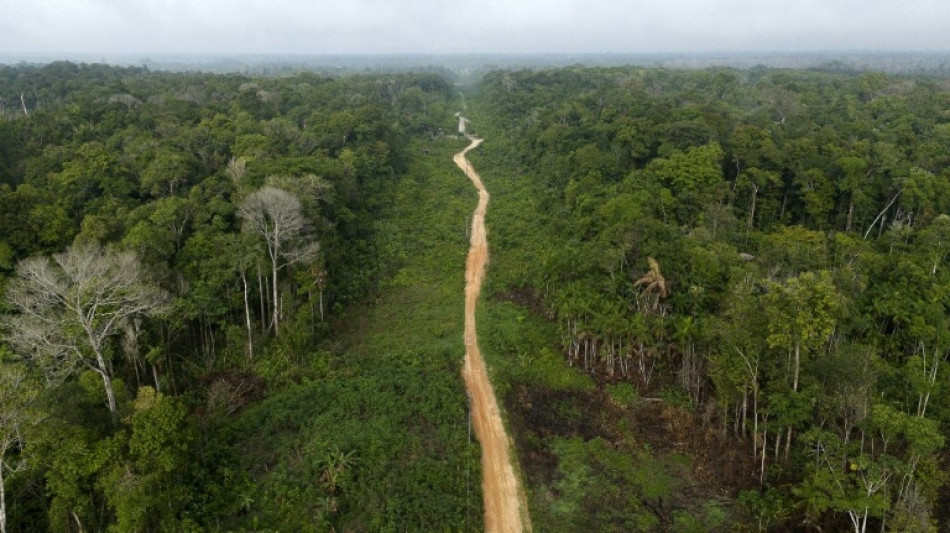  Abholzung im Amazonas auf niedrigstem Stand seit einem Jahrzehnt 
