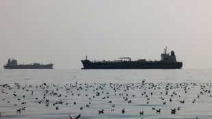 Experte befürchtet Umweltkatastrophen durch mögliche russische "Schattenflotte"