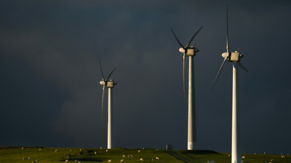 UK carbon emissions cut by half since 1990: experts