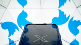 La red social X ofrecer&aacute; llamadas de audio y video