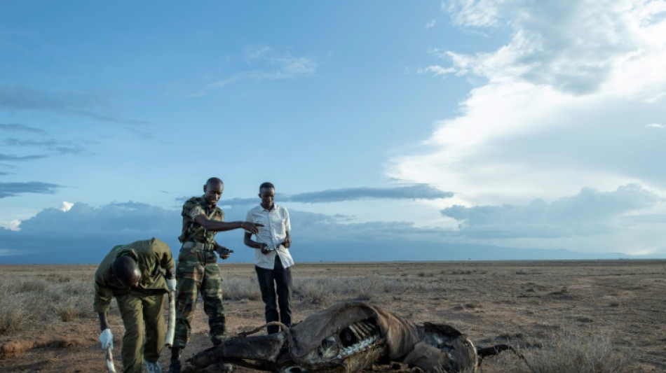 Lemke vor UN-Konferenz: Verzahnung von Kampf gegen Klima- und Artenkrise n&ouml;tig