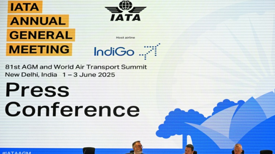 Les compagnies a&eacute;riennes moins optimistes pour 2025, face &agrave; des "vents contraires"