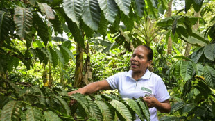 Entre monta&ntilde;as verdes, campesinos cuidan el agua del canal de Panam&aacute;