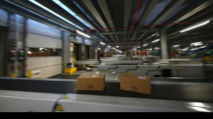 Online-Handel legt 2024 zu - 5,5 Prozent mehr Paketsendungen an Privatkunden