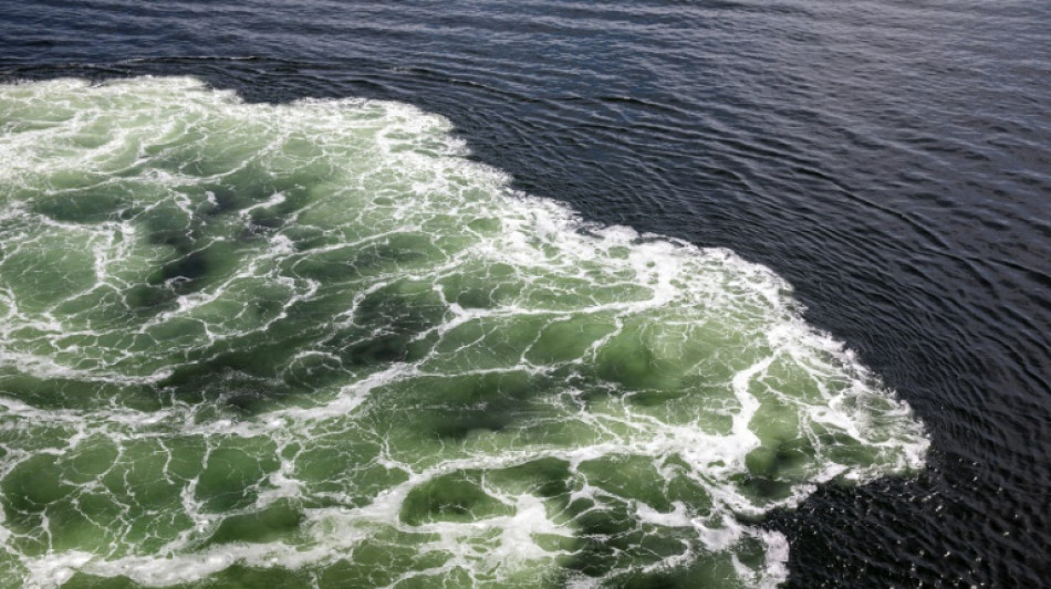 Von Strömung erfasst und abgetrieben: Schwimmer stirbt in Ostsee bei Rostock