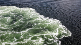 Von Strömung erfasst und abgetrieben: Schwimmer stirbt in Ostsee bei Rostock