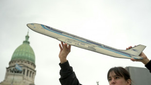 Argentiniens Pr&auml;sident Milei will staatliche Fluggesellschaft privatisieren