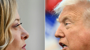 Italian FM cancels US visit over reported Trump comments
