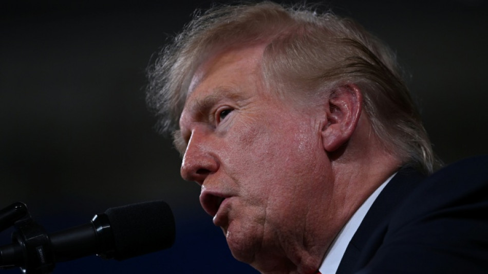  Trump dice que Audi har&aacute; una inversi&oacute;n multimillonaria en su primera planta en EEUU 