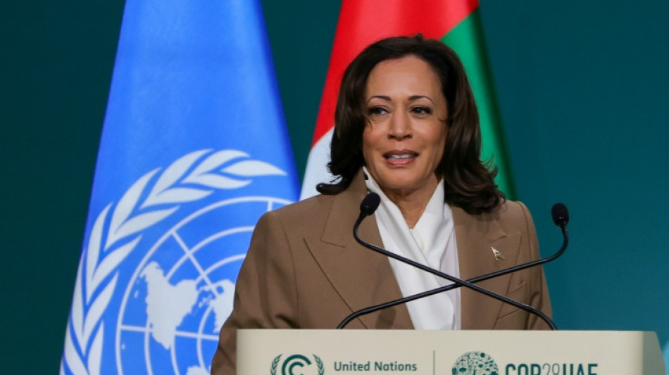 USA sagen drei Milliarden Dollar f&uuml;r Gr&uuml;nen Klimafonds zu