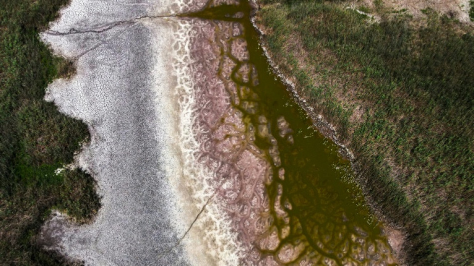  Le lac Velence s'ass&egrave;che, symbole de la crise de l'eau en Hongrie 