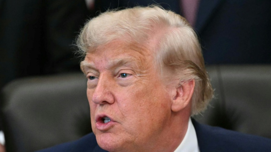  Trump amenaza con no ayudar a los pa&iacute;ses de la OTAN si se lo piden 