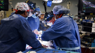 Segundo paciente com coração de porco transplantado morre 6 semanas após cirurgia