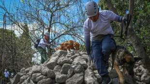 Philippines trains pet dogs for search and rescue