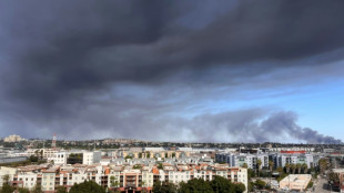 Los &Aacute;ngeles, en estado de emergencia por un incendio en un dep&oacute;sito de alimentos