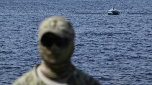 The Ukrainian drones taking on Russia's Black Sea fleet