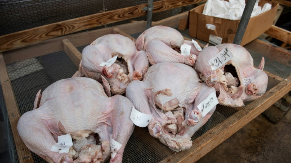 Grippe aviaire et inflation mettent au régime les tables de fête des deux côtés de l'Atlantique