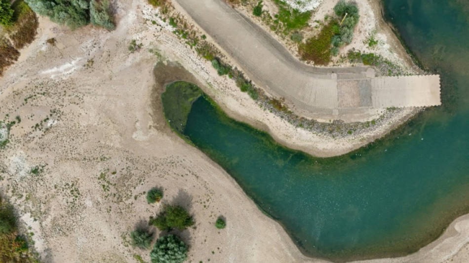  &Ouml;konom: Niedrigwasser k&ouml;nnte Wirtschaftswachstum zunichte machen  