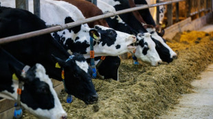 Milcherzeuger-Verband: Butter k&ouml;nnte bis Weihnachten so teuer werden wie nie zuvor